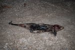 DSC_6979.jpg