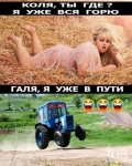 1111231_3.jpg
