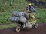 moto-luggage.jpg