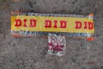 DSCF3387.JPG