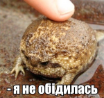 10415