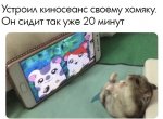 шустр.jpg