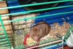DSCF3674.JPG