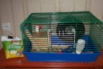 DSCF3678.JPG