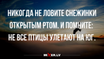 anekdoty-v-seredine-1-1024x576.png