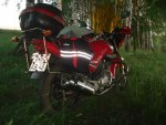 DSC05716.JPG