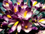 Effect_20200301_174518.jpg
