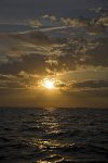 IMG_2067_море_рассветWeb.jpg
