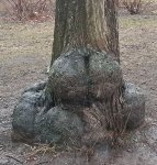 20200313_092305.jpg
