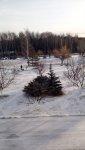 IMG_20200331_080639.jpg