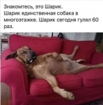 1586153047699.png