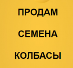 1586442171184.png