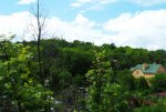 DSCF3768.JPG