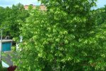 DSCF3769.JPG