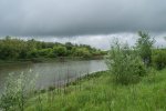 DSC_3350.jpg