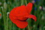 DSC00147.JPG