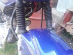 IMG_20200627_135812.jpg