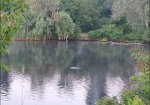 IMG_20200706_104222.jpg