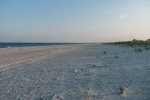DSC_3588.jpg