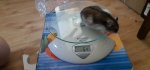 20200616_135041.jpg