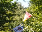 IMG_20200718_104925.jpg