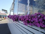 IMG_20200805_172830.jpg