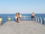 IMG_20200805_172902.jpg