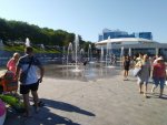 IMG_20200805_173004.jpg
