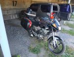 IMG_20200816_040404.jpg