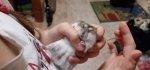 20200908_214956.jpg