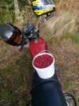 IMG_20200922_160511.jpg