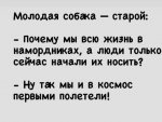 собаки.jpg