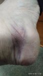 IMG_20201005_112802.jpg