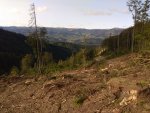 IMG_20200918_094200.jpg