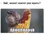 20201105_231709.jpg