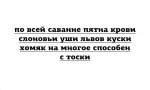 14810978.jpg