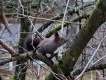 DSC02593э.JPG