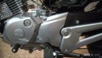 IMG_20201129_155719.jpg