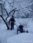 IMG-20210103-WA0015.jpg