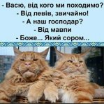 IMG_20210113_190823.jpg