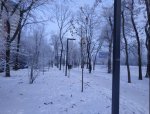 IMG_20210115_124256.jpg