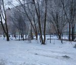 IMG_20210115_125316.jpg