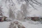 DSC_4624.jpg