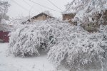 DSC_4626.jpg