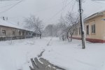 DSC_4628.jpg