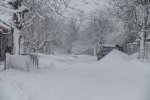 DSC_4632.jpg