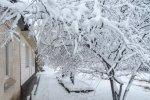 DSC_4637.jpg