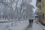DSC_4654.jpg
