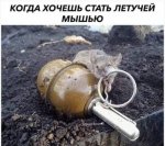 МыШШ.jpg