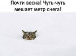 fcfbfea532a2ca151fbc3486f5331c5d.jpg